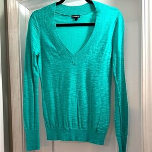 Express Women's Vibrant V-Neck Sweater